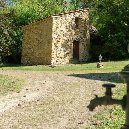 Au Pre De L'arbre