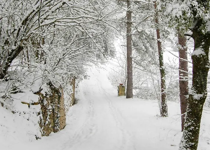 Au Pre De L'arbre Hébergement de vacances