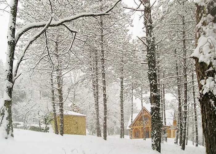 Au Pre De L'arbre * Sarlat